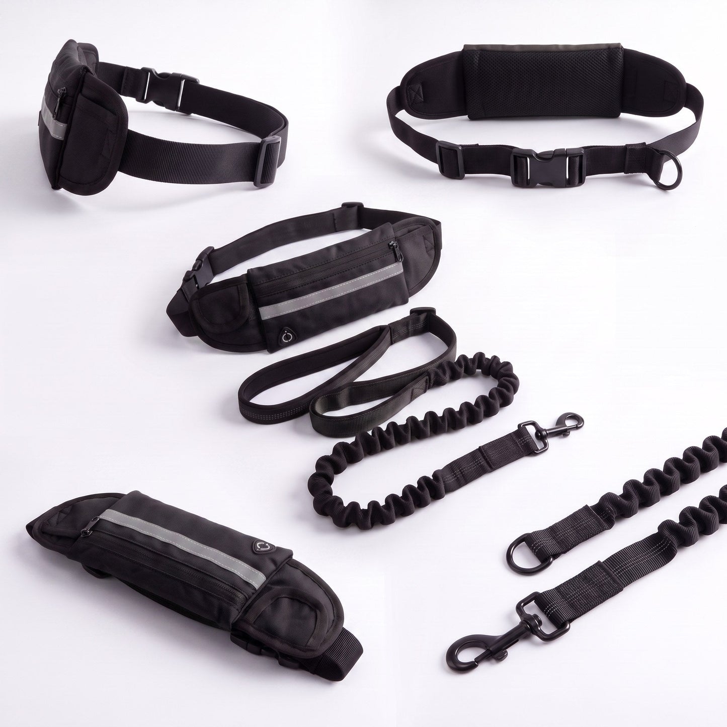 Slate black Wiggle Belt from multiple angles with the bungee leash and bolt-snap clip