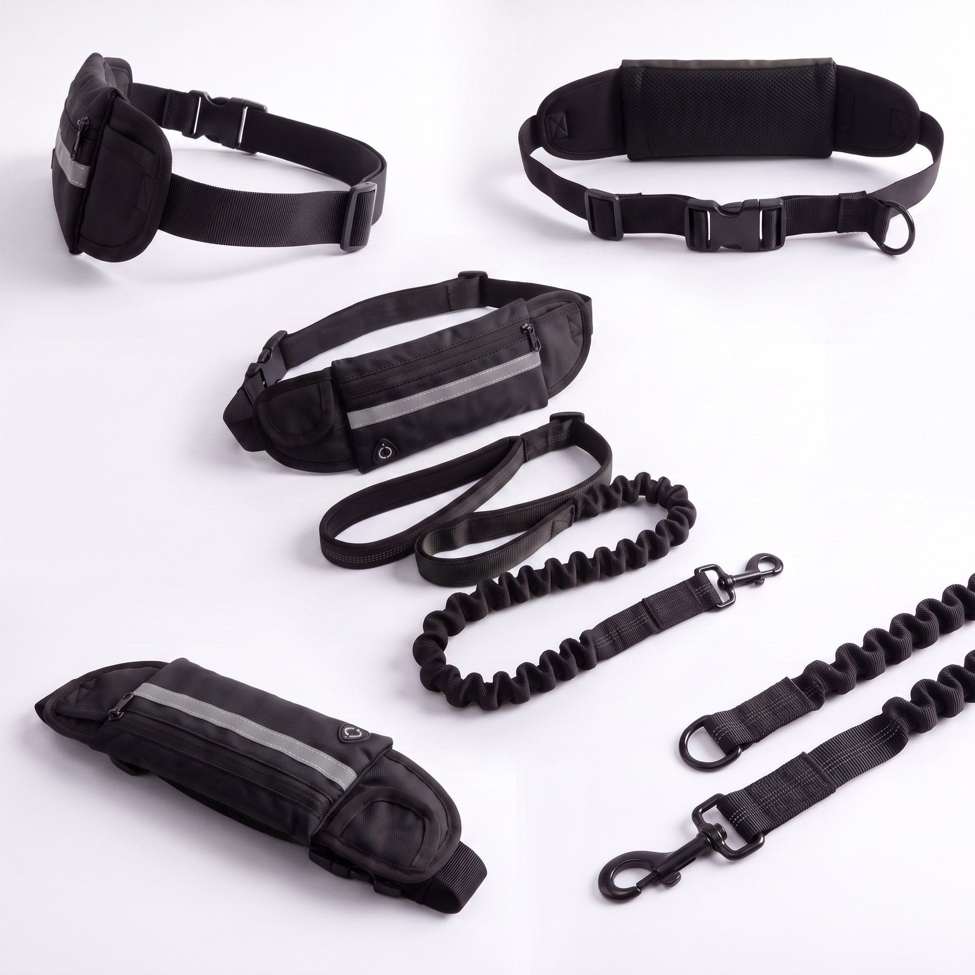 Slate black Wiggle Belt from multiple angles with the bungee leash and bolt-snap clip
