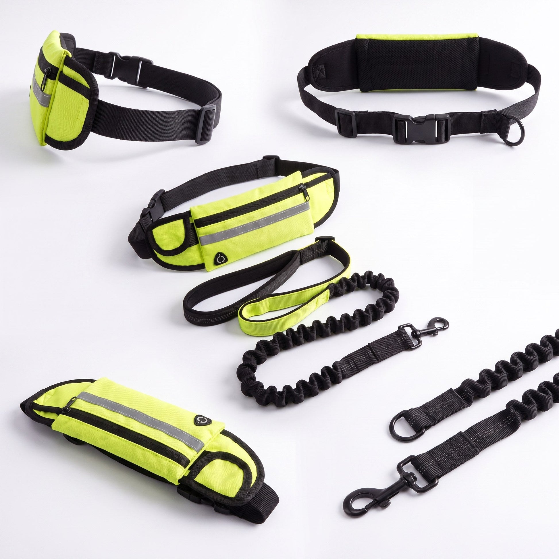Hi-vis lime Wiggle Belt from multiple angles with the bungee leash and bolt-snap clip