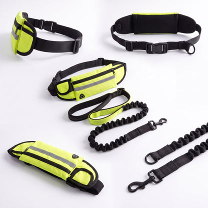 Hi-vis lime Wiggle Belt from multiple angles with the bungee leash and bolt-snap clip